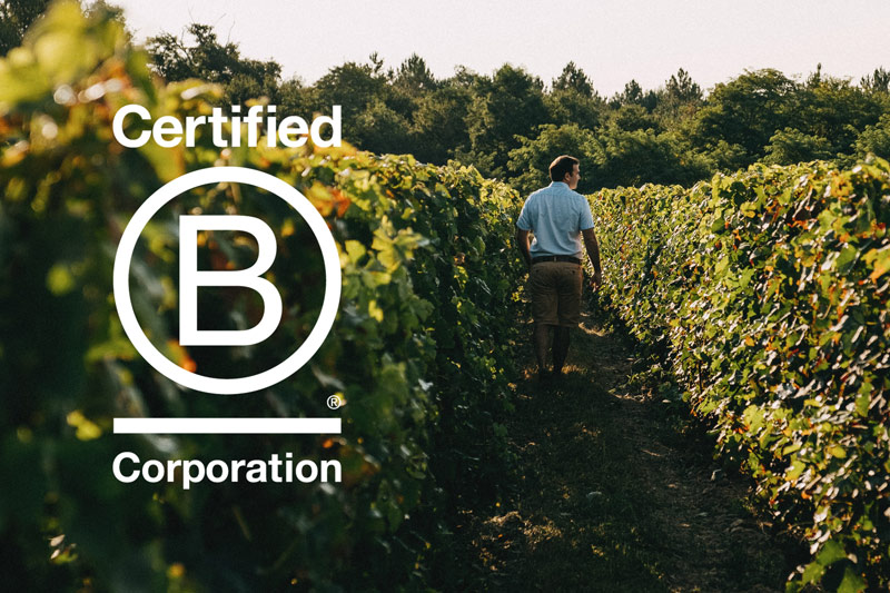 adopter des vignes cuvee privée B corp cuvee privee