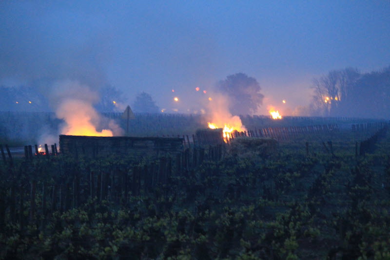 paille feu beaune