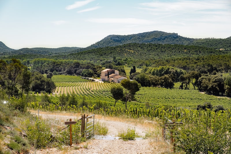 Vignoble Pic Saint-Loup Château La Roque
