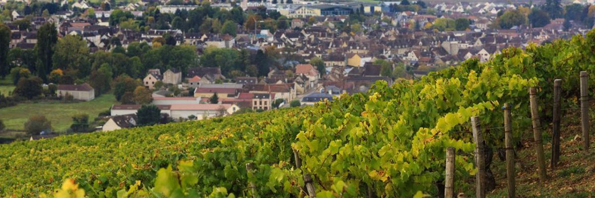Chablis, Beaujolais : la Bourgogne, objet de toutes les convoitises