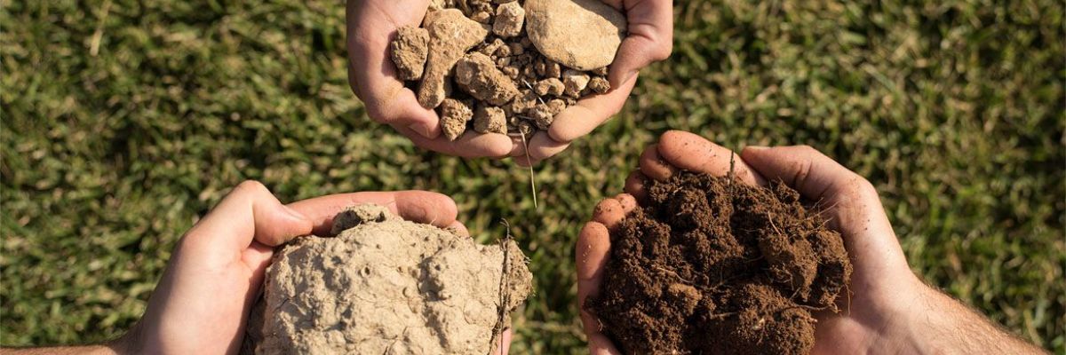 Qu’est-ce que le terroir d’un vin ?